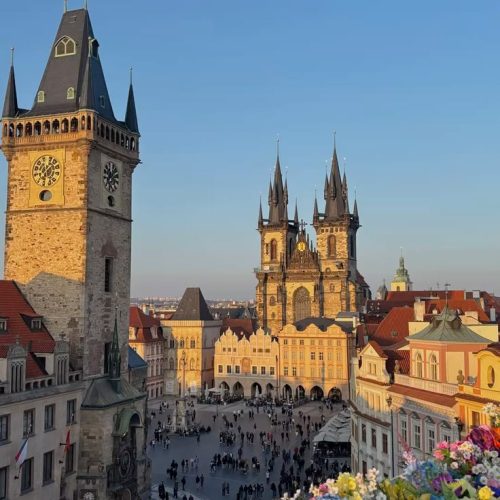 1259664b29cc69f5e273e67b76781346