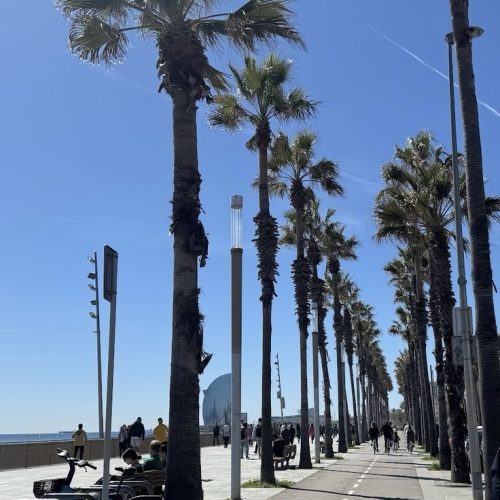 13ec52119516e5e43b5d1e81bc0c28a8