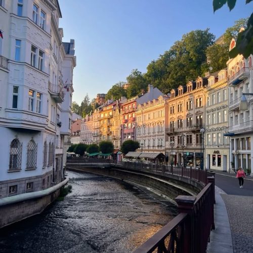 1640b961814dc5cf8f6c8ea07da566c1