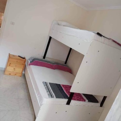 343452971_1353666198536383_1052073137382543780_n