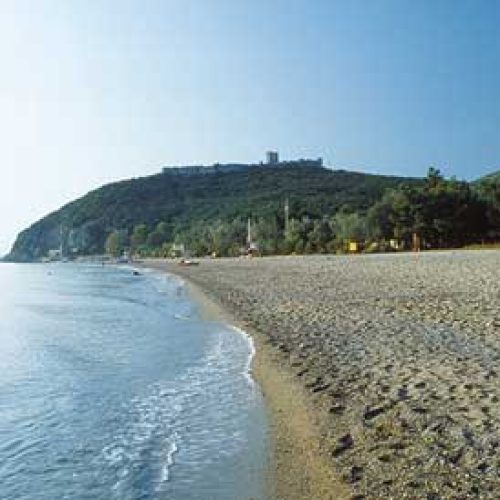 353817081_569966865329937_4580524206051100724_n