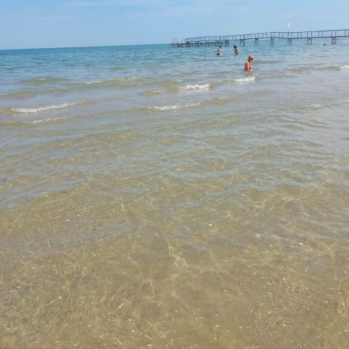 354583839_674271758078123_591018970576151536_n