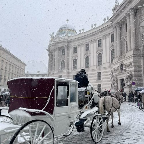 40644c7e36256799eed50f47ab3e5658