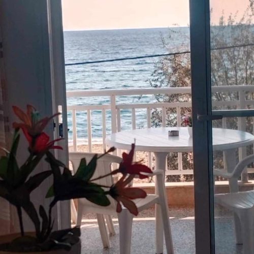 462052539_1624204331839074_3674717508007136413_n