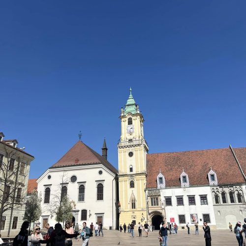 488658717_1136119765226651_6334182712711377675_n