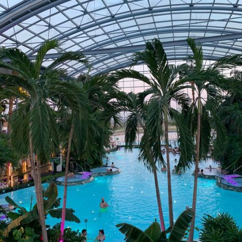 545967455_1268849858620307_292952128748022648_n