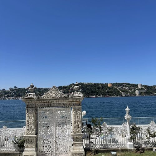 571330152_1313782170793742_2742025693714985976_n