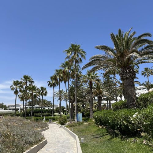 590768049_1339860878185871_2758218114005632735_n