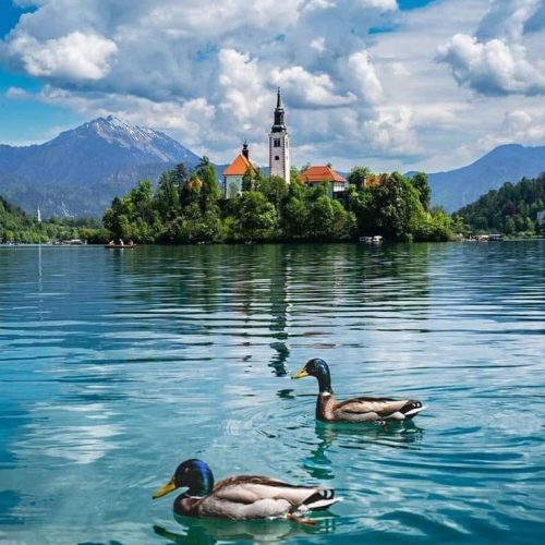 6b3150a9924c7a6d0052ef1e6976cb20 (1)