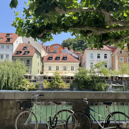 7026f0c88b782eae0f4845d5ffa5964f