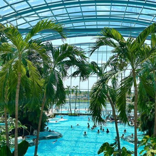 7cc50617cf0c718e8ef2defb4215225a