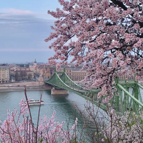 bc083842f3ab7453bfee21af79889711