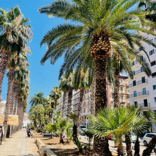 e051ef012438425553c88edfa4647e45