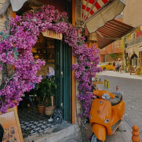 e71e9bed038673214518d8e11cea8545