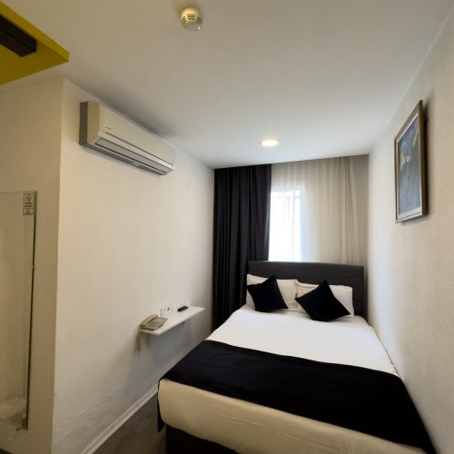 standart-dbl3-scaled