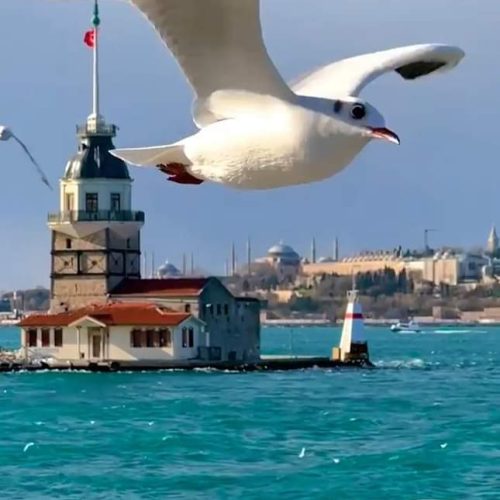 viber_image_2023-10-26_11-48-29-807