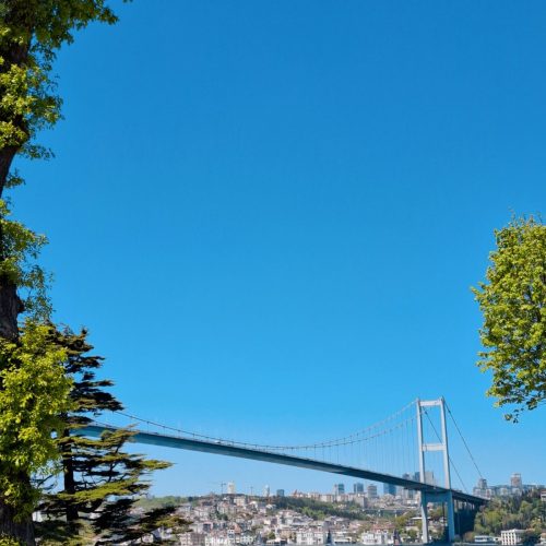 viber_image_2025-08-19_17-15-03-341