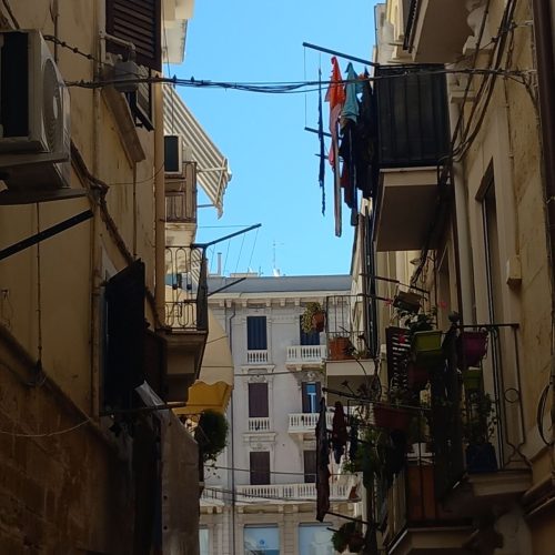 viber_image_2025-11-12_14-18-29-069