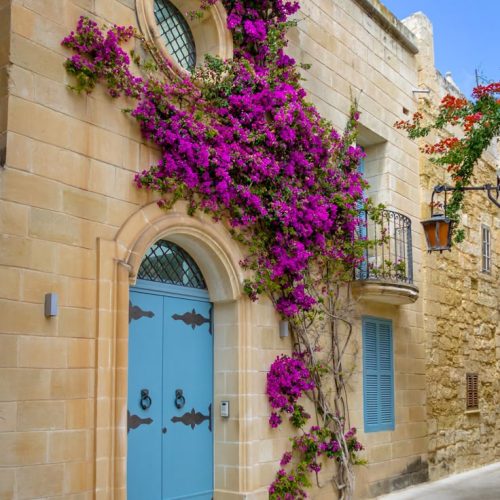 viber_image_2025-11-28_16-21-44-555