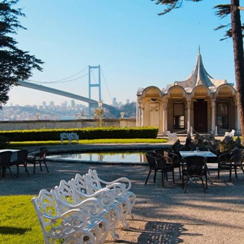 viber_image_2026-01-30_15-29-58-831