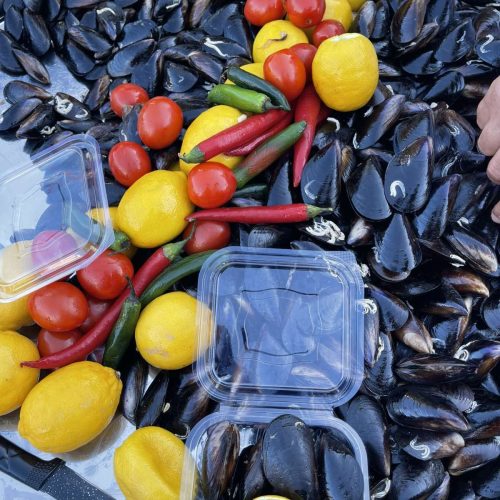 viber_image_2026-02-06_14-57-43-923